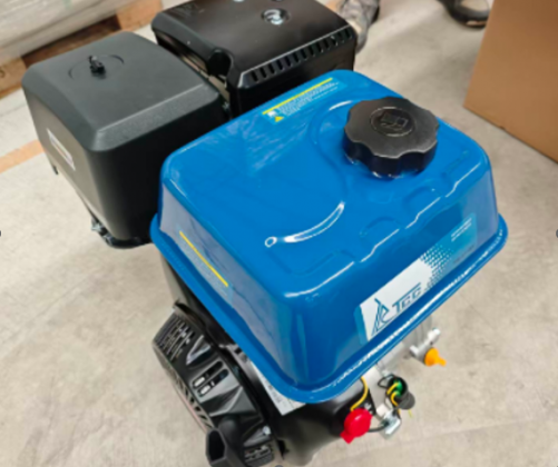 Двигатель бензиновый AP190F для TSS PGST100/Petrol engine PGST100, (10004-00382-00) Двигатель бензиновый AP190F для TSS PGST100/Petrol engine PGST100, (10004-00382-00)